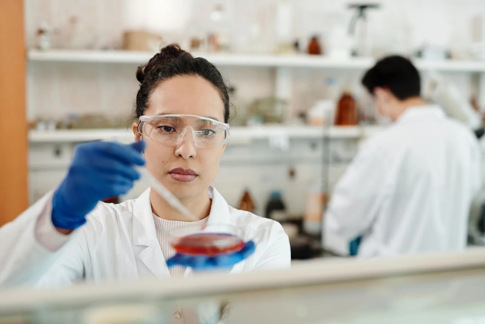 A laboratory scientist examining a sample in a petri dish
